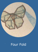 Four Fold